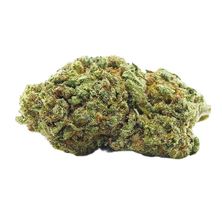 Big Buddha Cheese Hybrid Strain