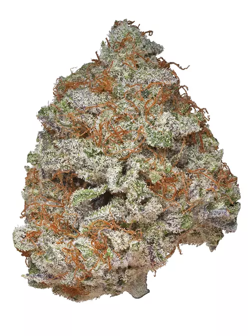 Blue God Marijuana Flower