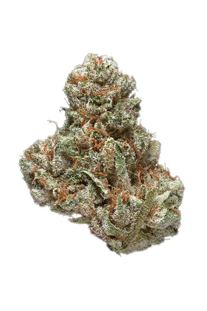 Cotton Candy Kush Weed Strain
