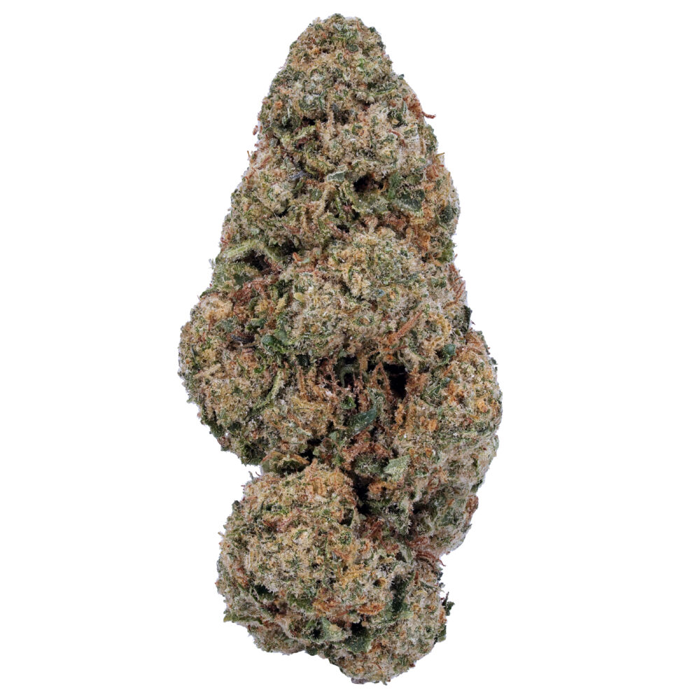 Girl Scout Cookies Hybrid Flower