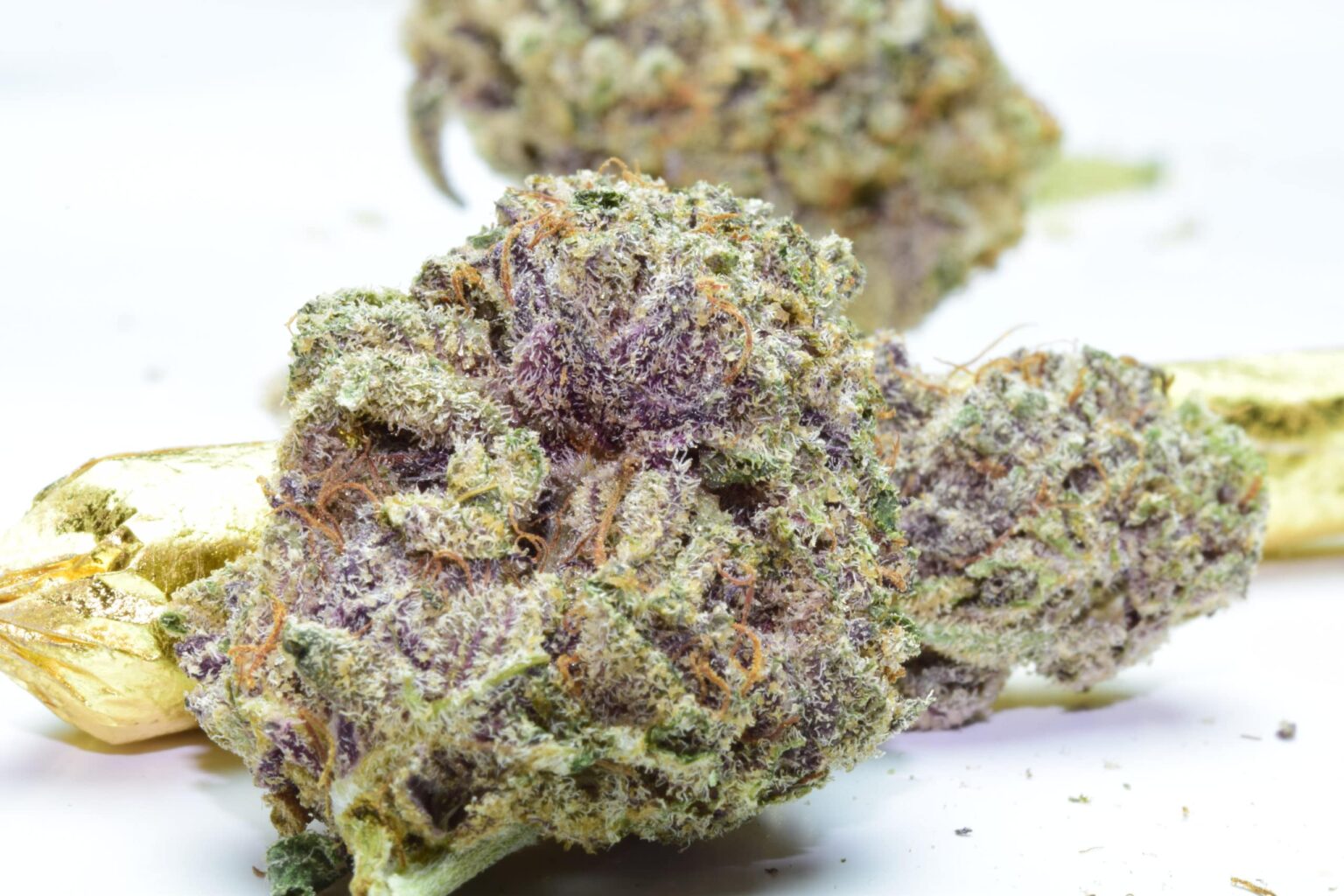 Purple Kush Weed Strain