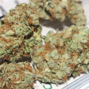 Sativa Weed Strains Europe