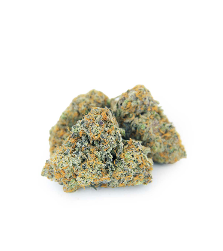 Blue Dream Cannabis Sativa Strain