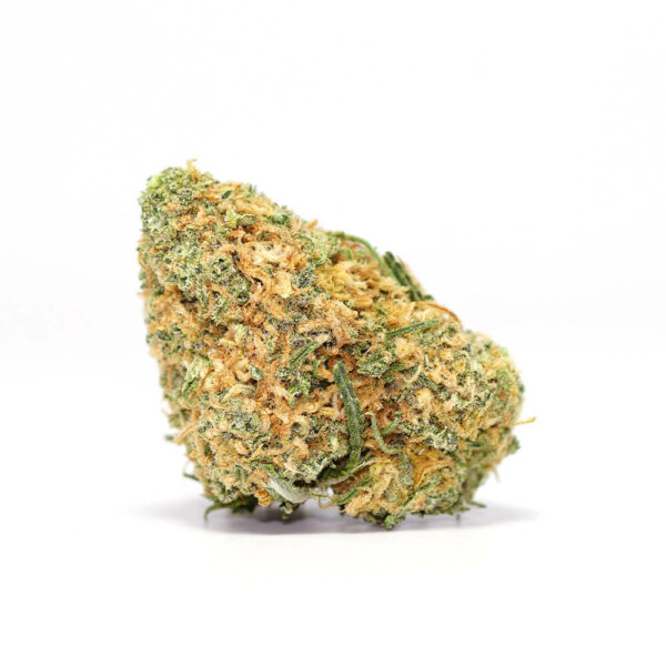 Harlequin Sativa Cannabis Strain