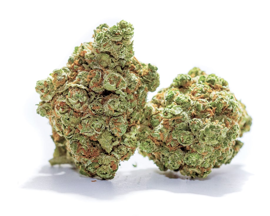 Zurcules Indica Weed Strain